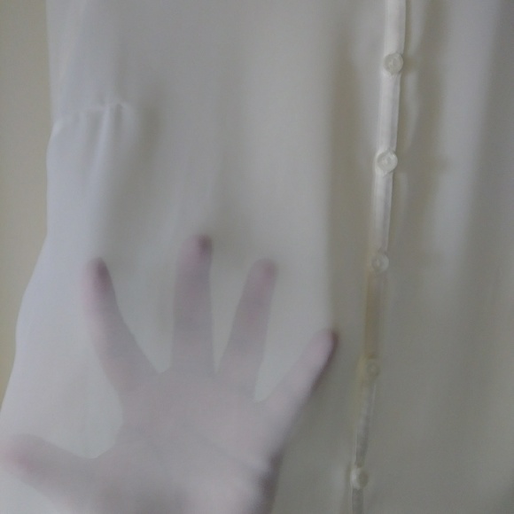 Liz Claiborne Petite Sheer Button Down Blouse - Picture 5 of 5